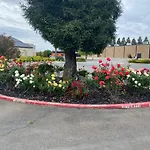 Oasis Inn Sacramento - Elk Grove